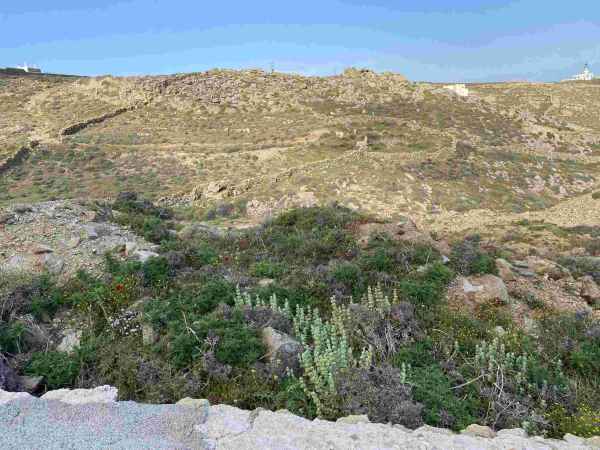 ΜΥΚΟΝΟΣ-ΠΑΤΡΩΝΗ-ΜΑΡΙΑΜ-Β