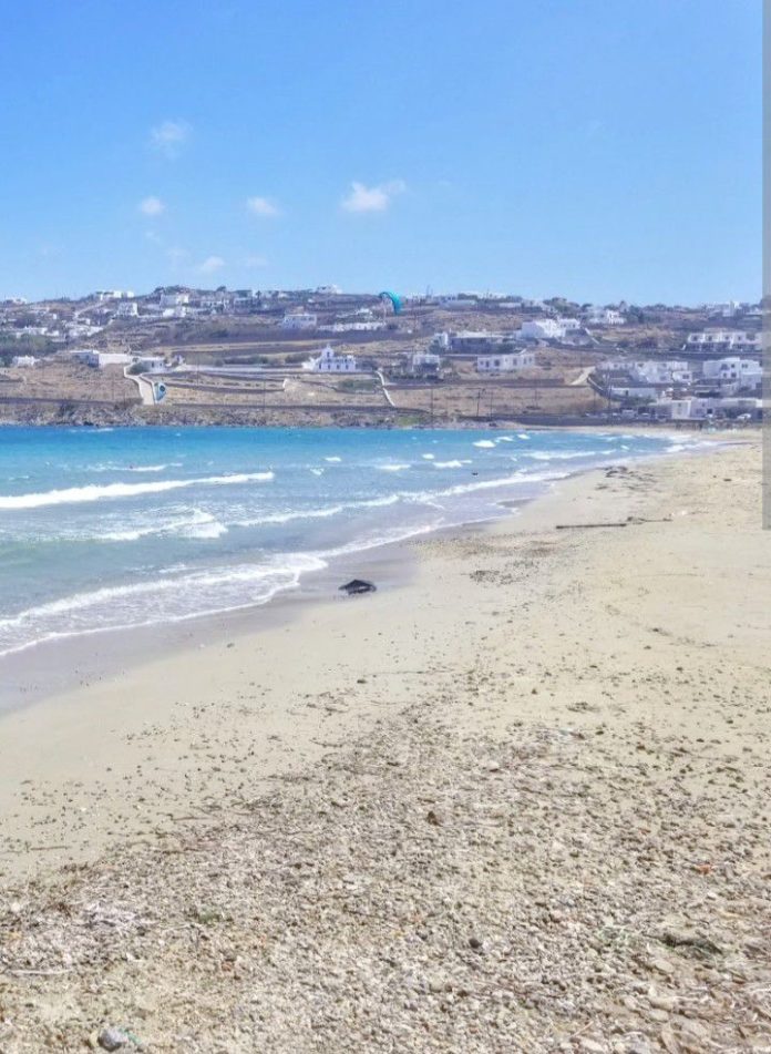 586158623_1845349716353576_2053026284308133824_n