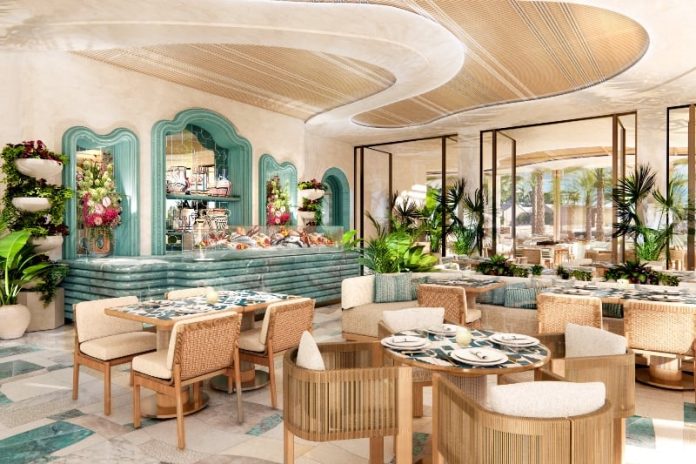 MixCollage-12-Nov-2025-01-24-PM-9576