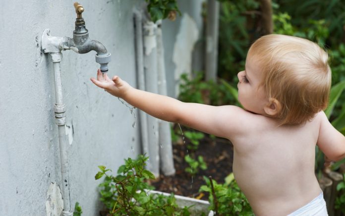 He loves the back yard