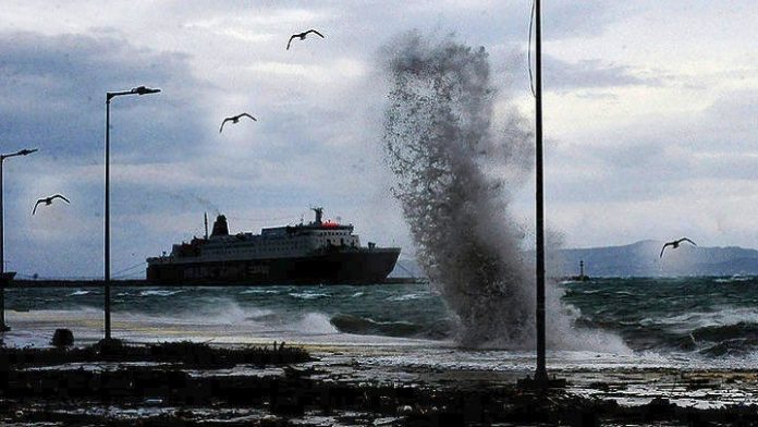 w21-81423w0590614LimaniKymata800454