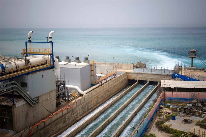 nero-afalatosi_ID_637982-1