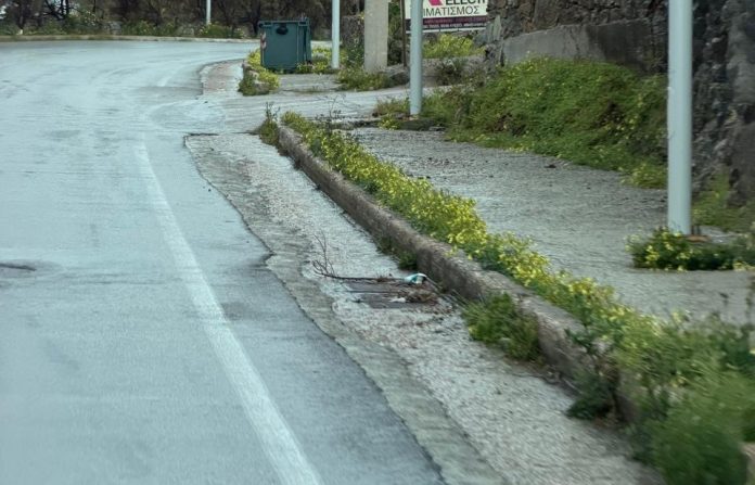 WhatsApp Image 2026-03-28 at 15.08.50