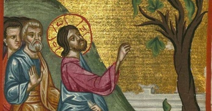 συκιά-Ευαγγελίου«S.Drekou»aenai.epAnastasi